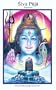 Shiva Puja Beginners