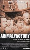 DVD Animal Factory, film DVD Animal Factory