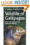 Traveller's Guide - Wildlife of the Galapagos