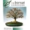 Bonsai Growing