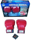 Virtual Boxing Game