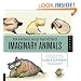 Drawing and Painting Imaginary Animals: A Mixed-Media Workshop with Carla Sonheim