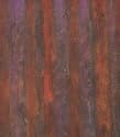 Pierre Bonnard [VHS]