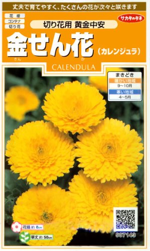 キンセンカ（カレンジュラ）　切り花用 黄金中安　種子 [サカタのタネ]