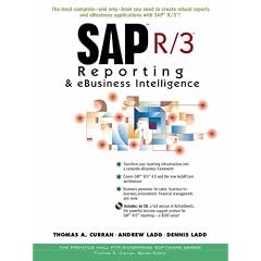 SAP R/3 Reporting