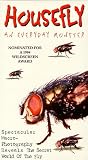 Housefly: Everyday Monster