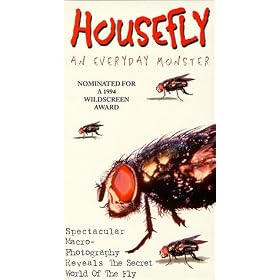Housefly: Everyday Monster [VHS]