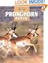 Pronghorn Hunting (The Complete Hunter)