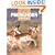 Pronghorn Hunting (The Complete Hunter)