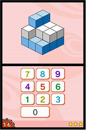 Big Brain Academy (Nintendo DS)