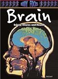 Brain : injury, illness and health