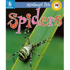 Spiders (Minibeast Pets)