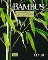 Bambus