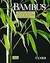 Bambus