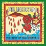 Best of Big Mountain