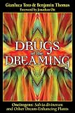 Drugs of the Dreaming: Oneirogens: <i>Salvia divinorum</i> and Other Dream-Enhancing Plants