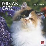 Persian Cats 2010 Wall Calendar