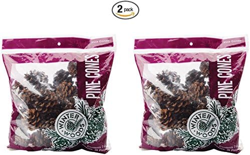 Natural Red Pine Cones 7 Ounces/Pkg- (Pack of 2)