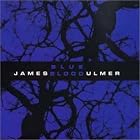 Blue Blood by James Blood Ulmer