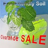 Cubic Shape Crystal Soil_clearance Sale.6 Packs in 6 different Color
