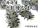乾燥ナマコ 100ｇ 北海道産乾燥なまこ（金ん子）【中華高級食材】干し海鼠！送料無料