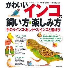 かわいいインコの飼い方・楽しみ方―手のりインコ・おしゃべりインコと遊ぼう
