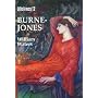 Burne-Jones: An Illustrated Life of Sir Edward Burne-Jones (Lifelines): An Illustrated Life of Sir Edward Burne-Jones (Lifelines)