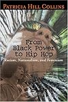 From Black Power to Hip Hop: Racism, Nationalism, and Feminism (Politics History & Social Chan)