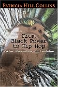 From Black Power to Hip Hop: Racism, Nationalism, and Feminism (Politics History & Social Chan)