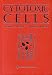 Cytotoxic Cells: Basic Mechanisms and Medical Applications