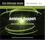 Ambient Support for Learning, Working, and Creating (Ultimate Brain)