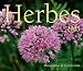 Books : Herbes 2005