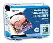 Western Digital WD2500KSRTL Caviar SE16 250 GB SATA 3.5-Inch Hard Drive Kit