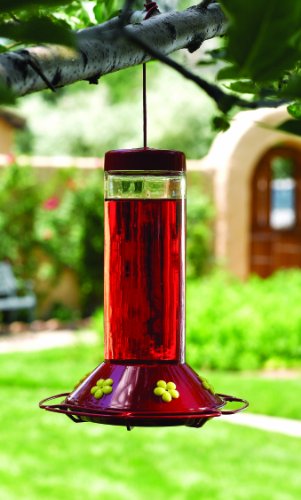 Perky-Pet 209 Our Best 30-Ounce Glass Hummingbird Feeder