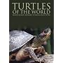 Turtles of the World