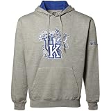 Kentucky Wildcats Ash Classic Twill Hoody Sweatshirt