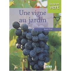 Une vigne au jardin