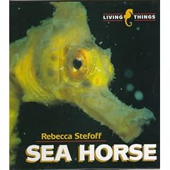 Sea Horse (Living Things)