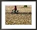 Ein Kind Radelt Am Dienstag, 8.November 2005, Zwischen Dem Herbstlaub Framed Art Post...