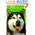 This Is the Alaskan Malamute