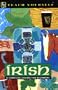 Teach Yourself Irish Complete Course