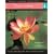 Water Gardens: Instant Reference to More than 250 Plants