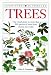 Book DK Handbooks: Trees