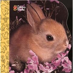 10 Little Bunnies (Little Nugget)