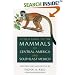 A Field Guide to the Mammals of Central America and Southeast Mexico