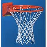 Gold Point  Ultimate Break-Away Basketball Goal from Schutt