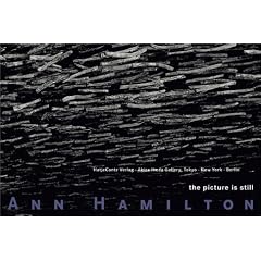 Ann Hamilton, the picture is still