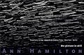 Ann Hamilton: The Picture Is Still