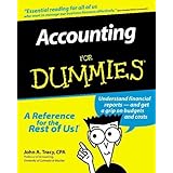 accounting for dummies serial