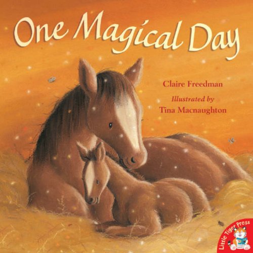 Childrens Toyshop  Books : One Magical Day